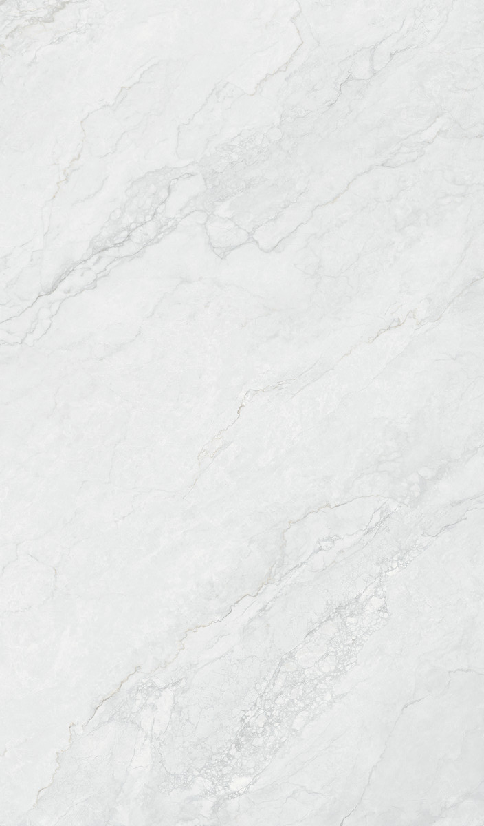 利来w66(中国)最给利的老牌