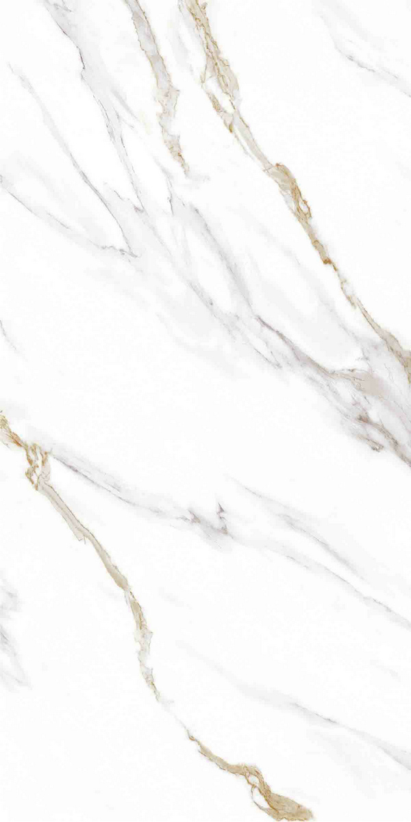 利来w66(中国)最给利的老牌