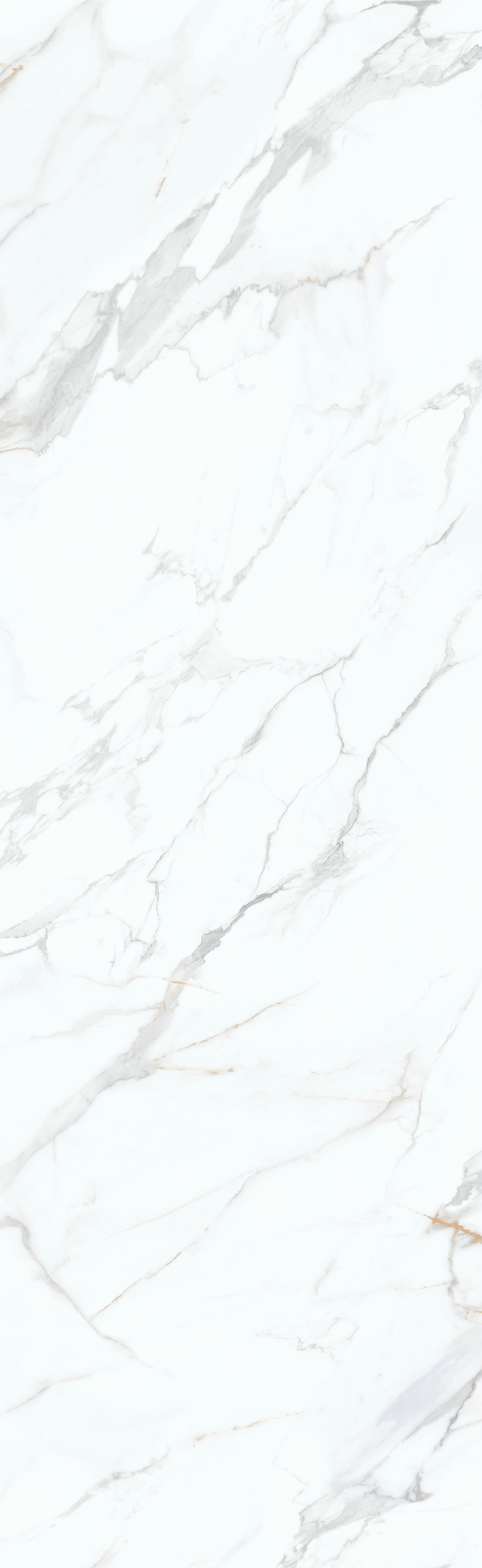 利来w66(中国)最给利的老牌