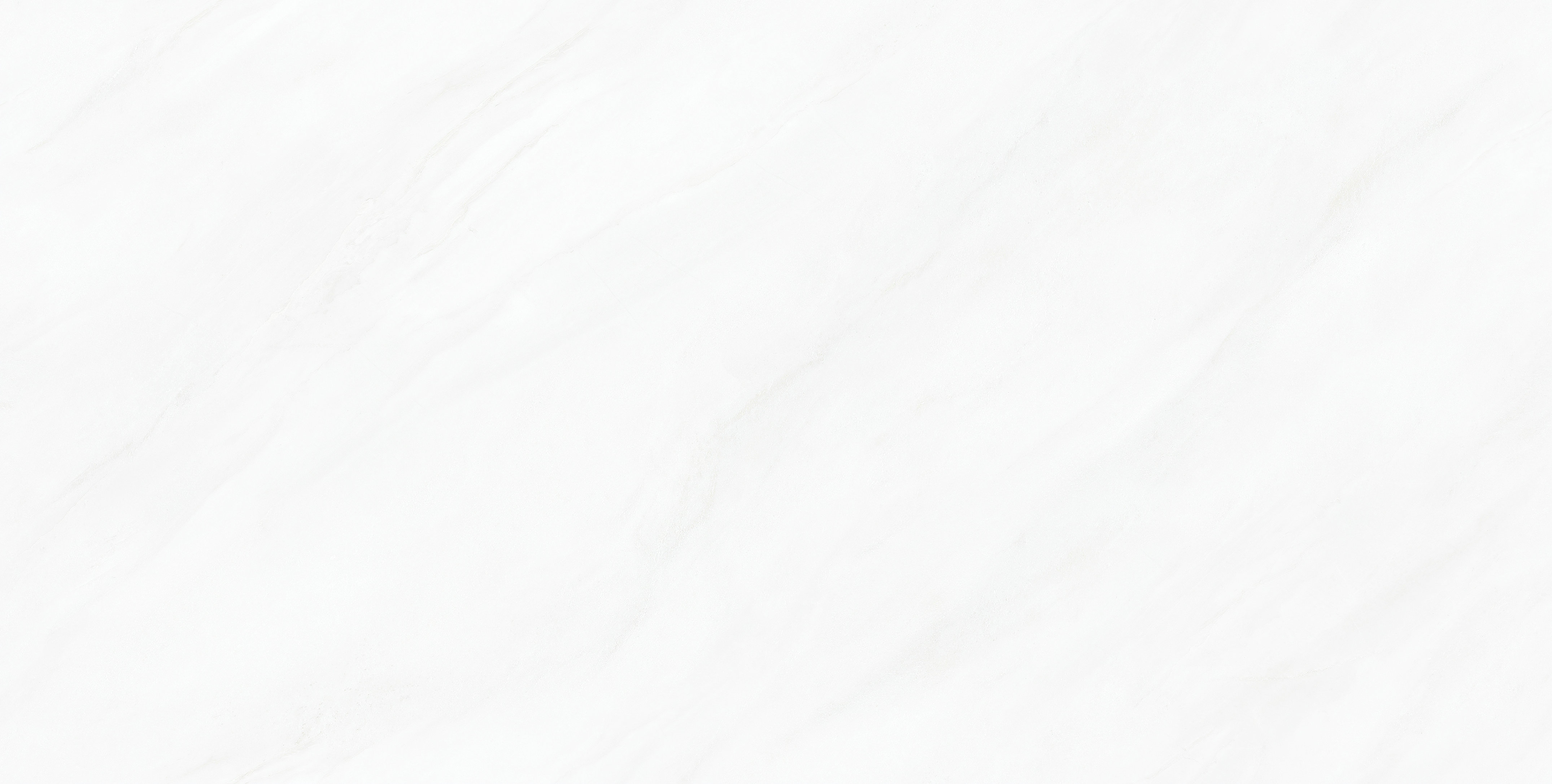 利来w66(中国)最给利的老牌