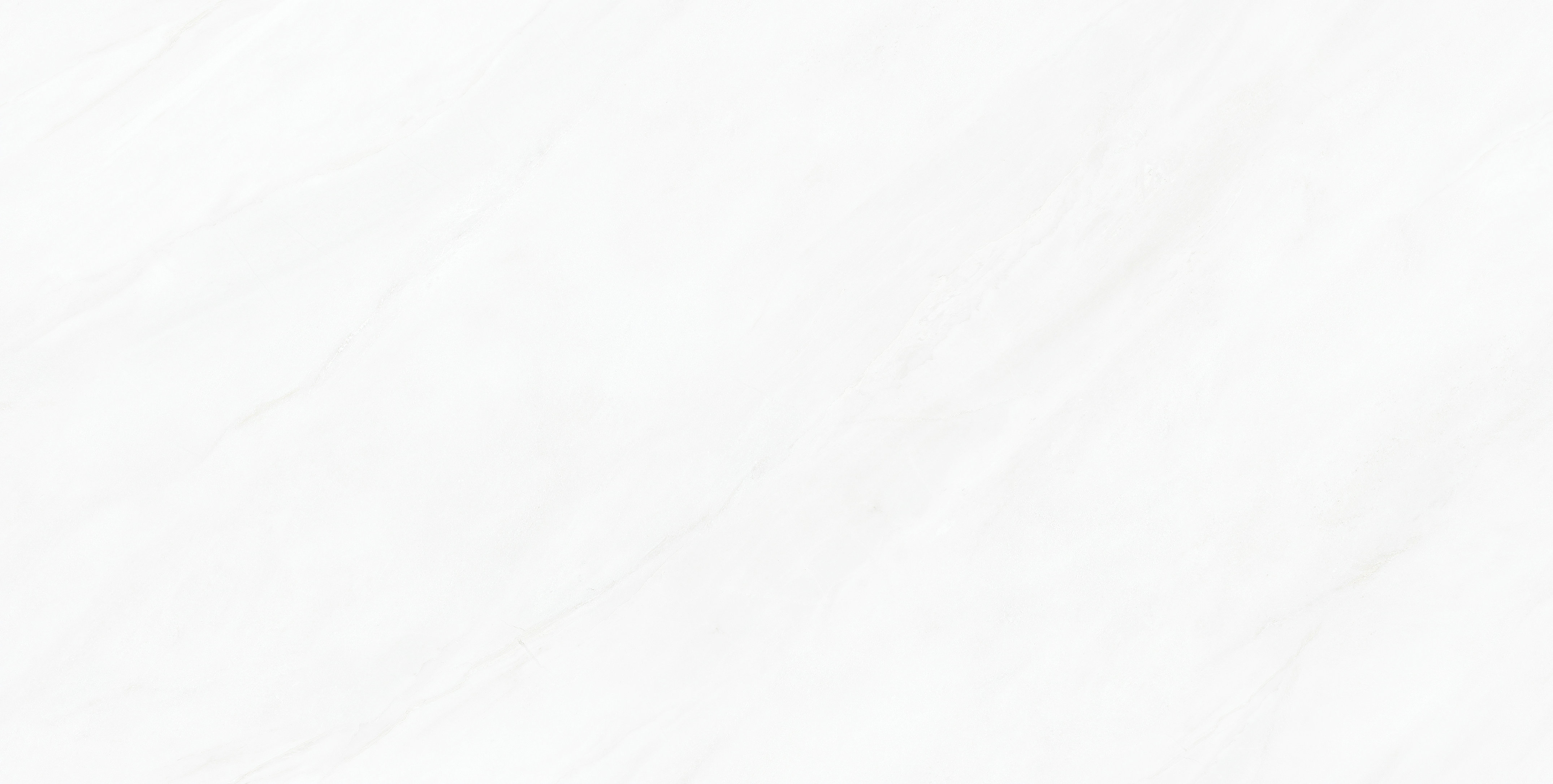 利来w66(中国)最给利的老牌