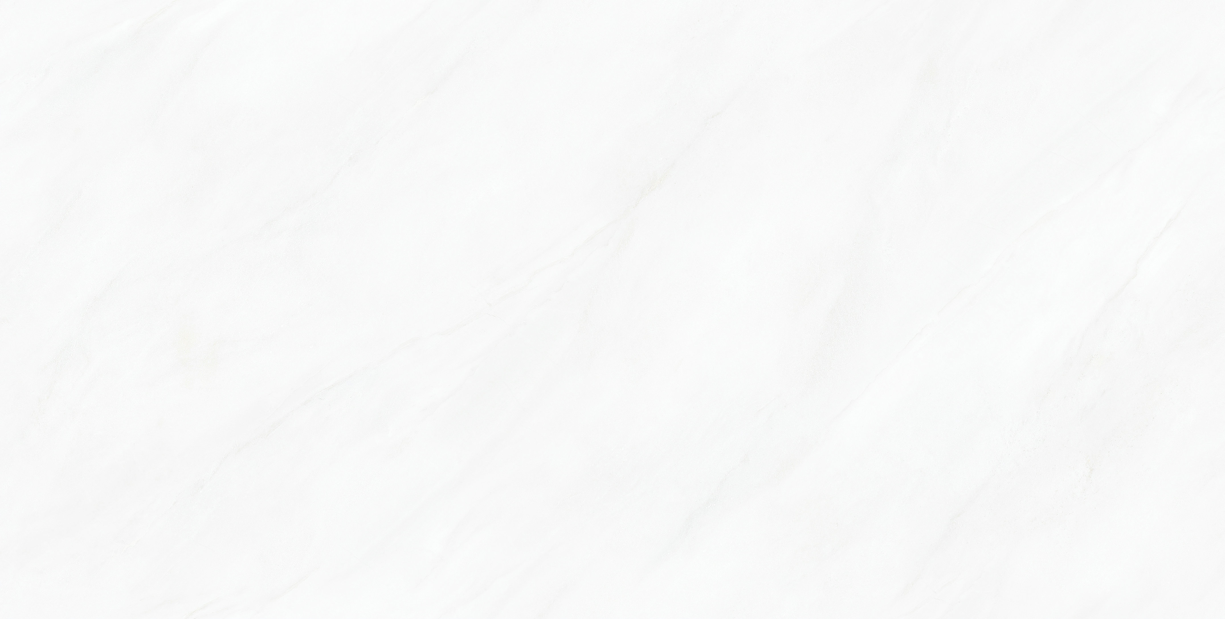 利来w66(中国)最给利的老牌