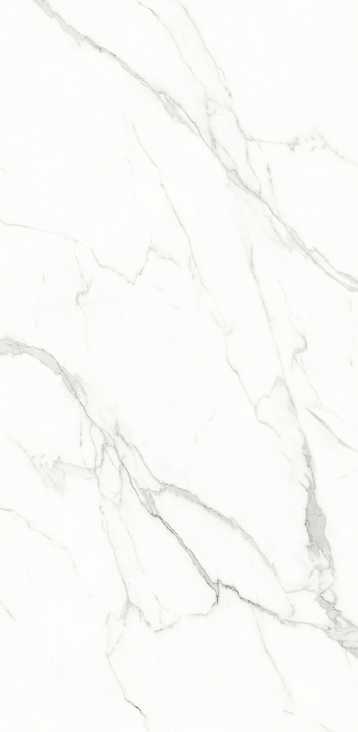 利来w66(中国)最给利的老牌