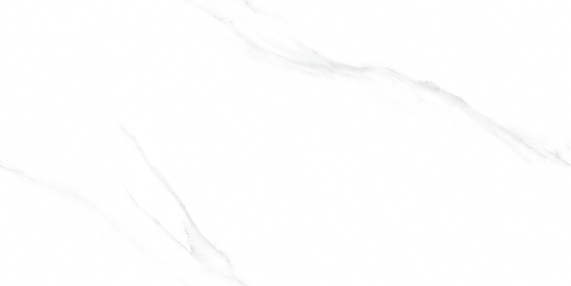 利来w66(中国)最给利的老牌