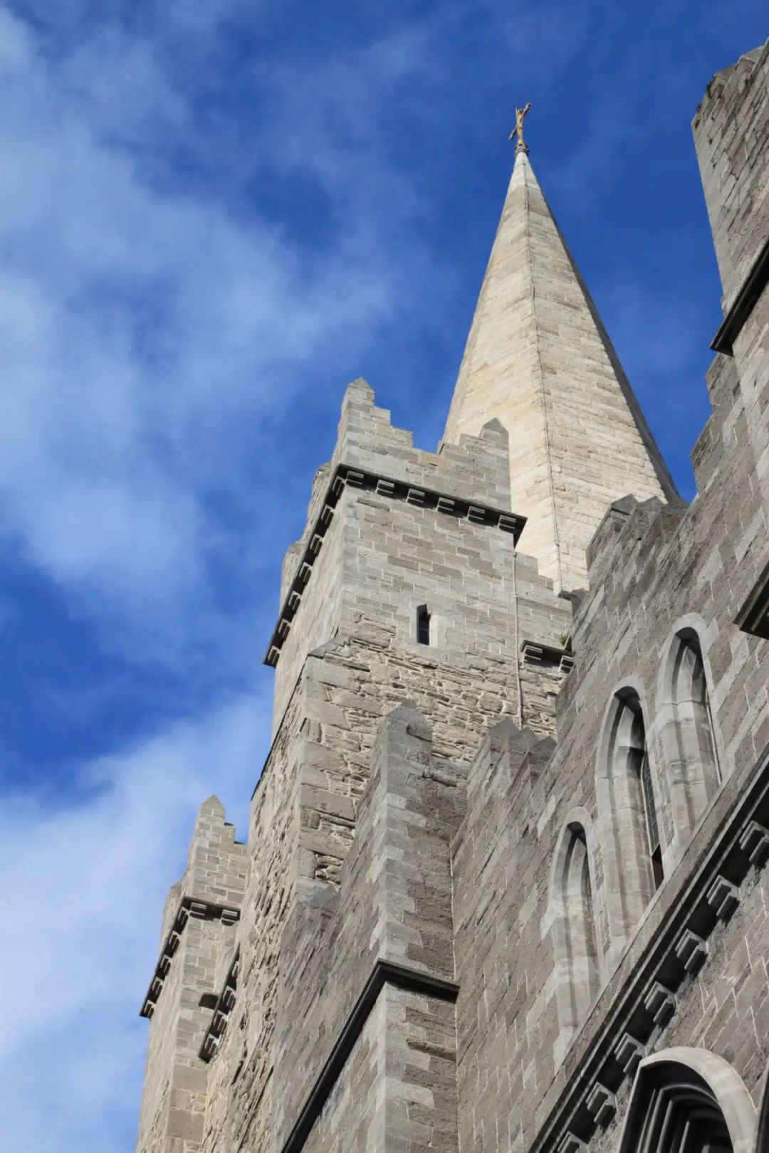 新品速递 | 利来w66750x1500mm大板，带你发现世界的美妙！(图4)